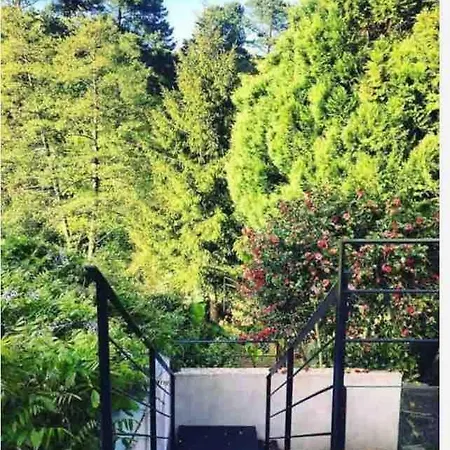 Demeure Familiale De Gamme 230m2 En Centre-ville De Tramway A 2 Min 10 Personnes 南特