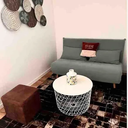 Demeure Familiale De Gamme 230m2 En Centre-ville De Tramway A 2 Min 10 Personnes 度假居 *